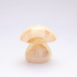 Mashroom